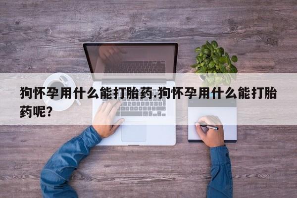 哪个网店有打胎药卖狗怀孕用什么能打胎药.狗怀孕用什么能打胎药呢？