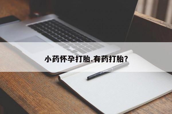 哪个网店有打胎药卖小药怀孕打胎.有药打胎？