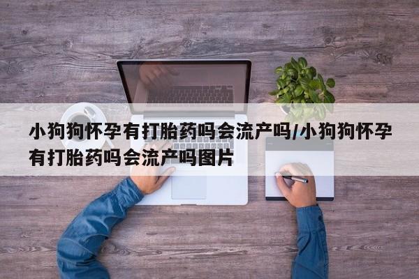 哪个网店有打胎药卖小狗狗怀孕有打胎药吗会流产吗/小狗狗怀孕有打胎药吗会流产吗图片