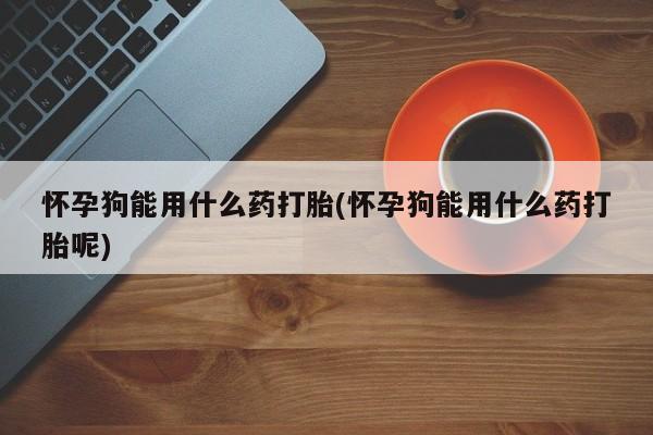 哪个网店有打胎药卖怀孕狗能用什么药打胎(怀孕狗能用什么药打胎呢)